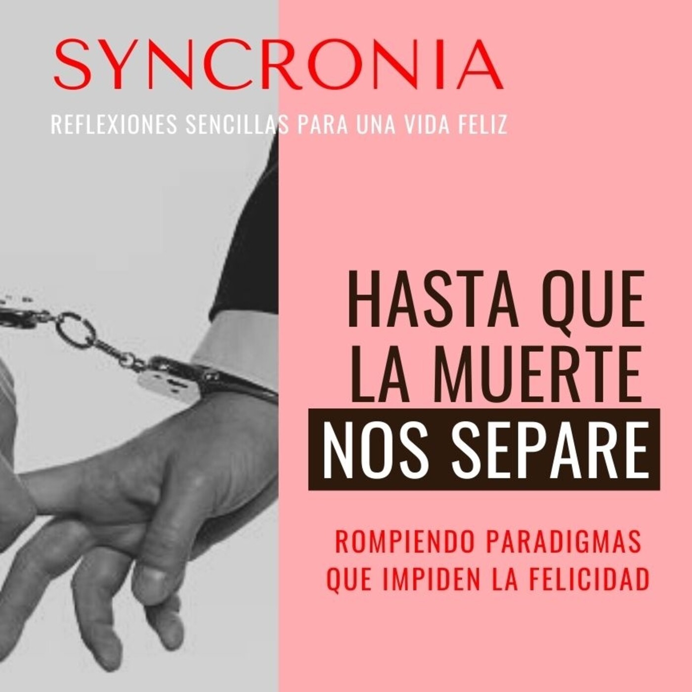 Charlas Syncronia