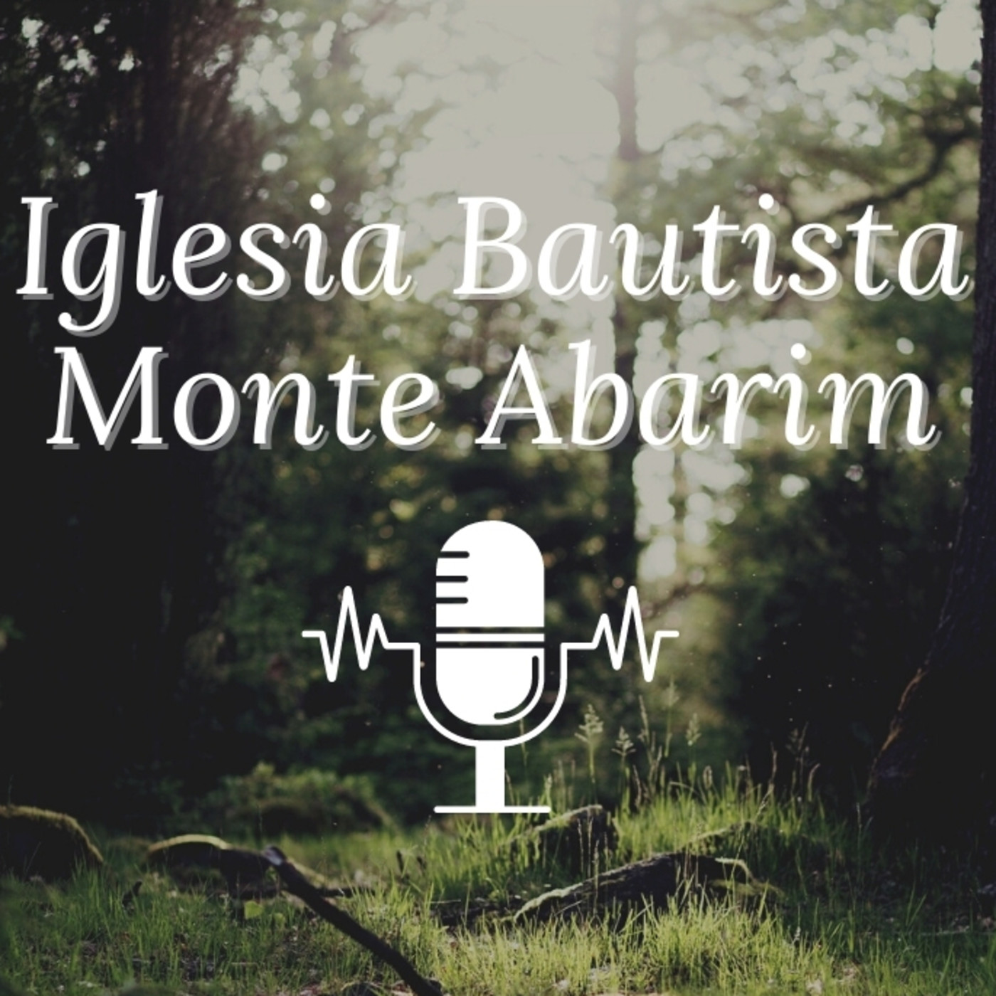 Iglesia Bautista Monte Abarim