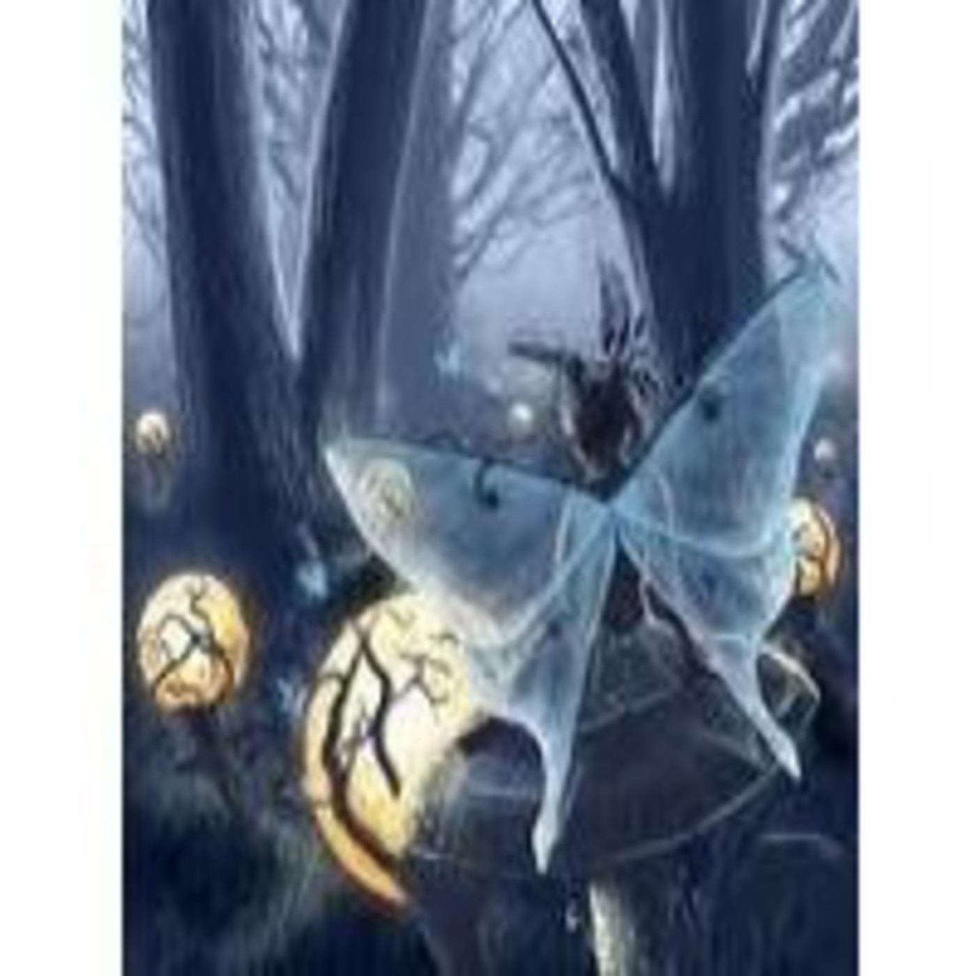 Colección de Mariposas...Música para sentir