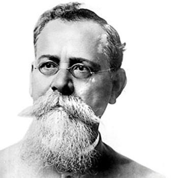 embed image