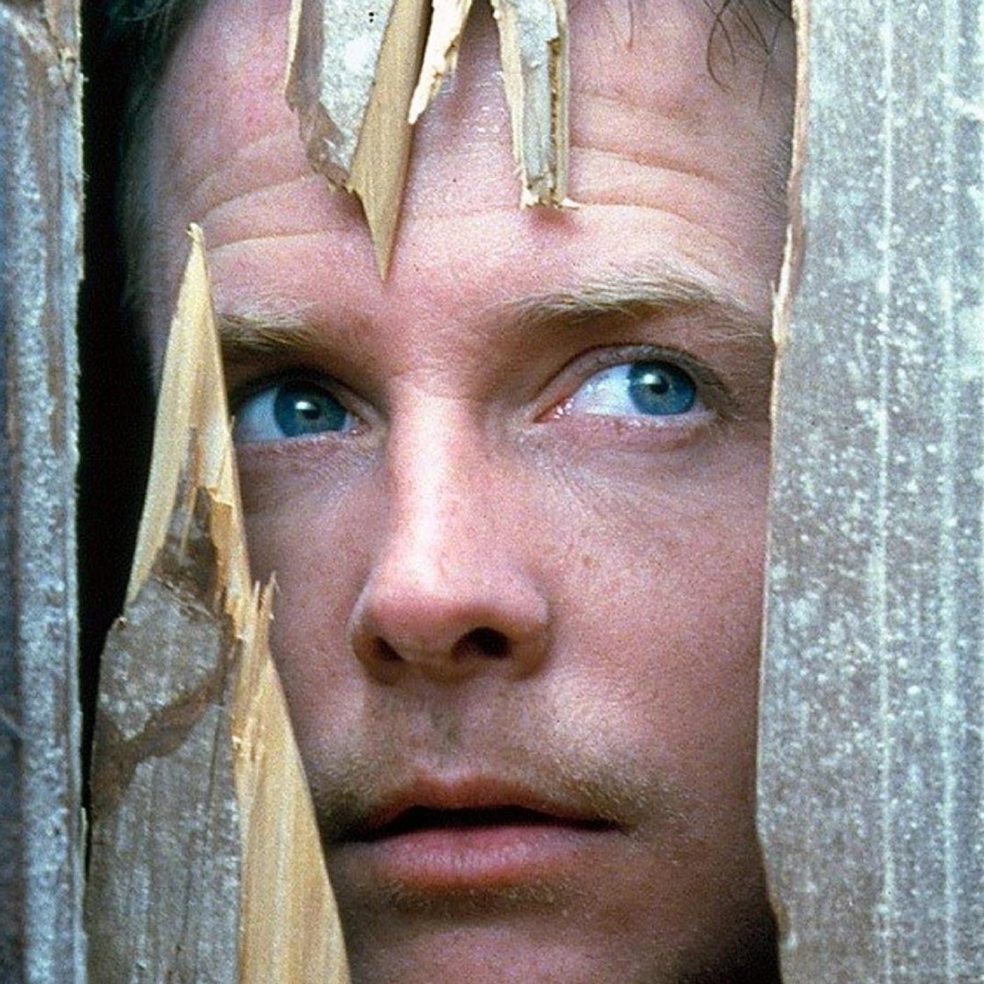 31 días de terror II # 21- Agárrame esos fantasmas (Peter Jackson,1996) - Episodio exclusivo para mecenas