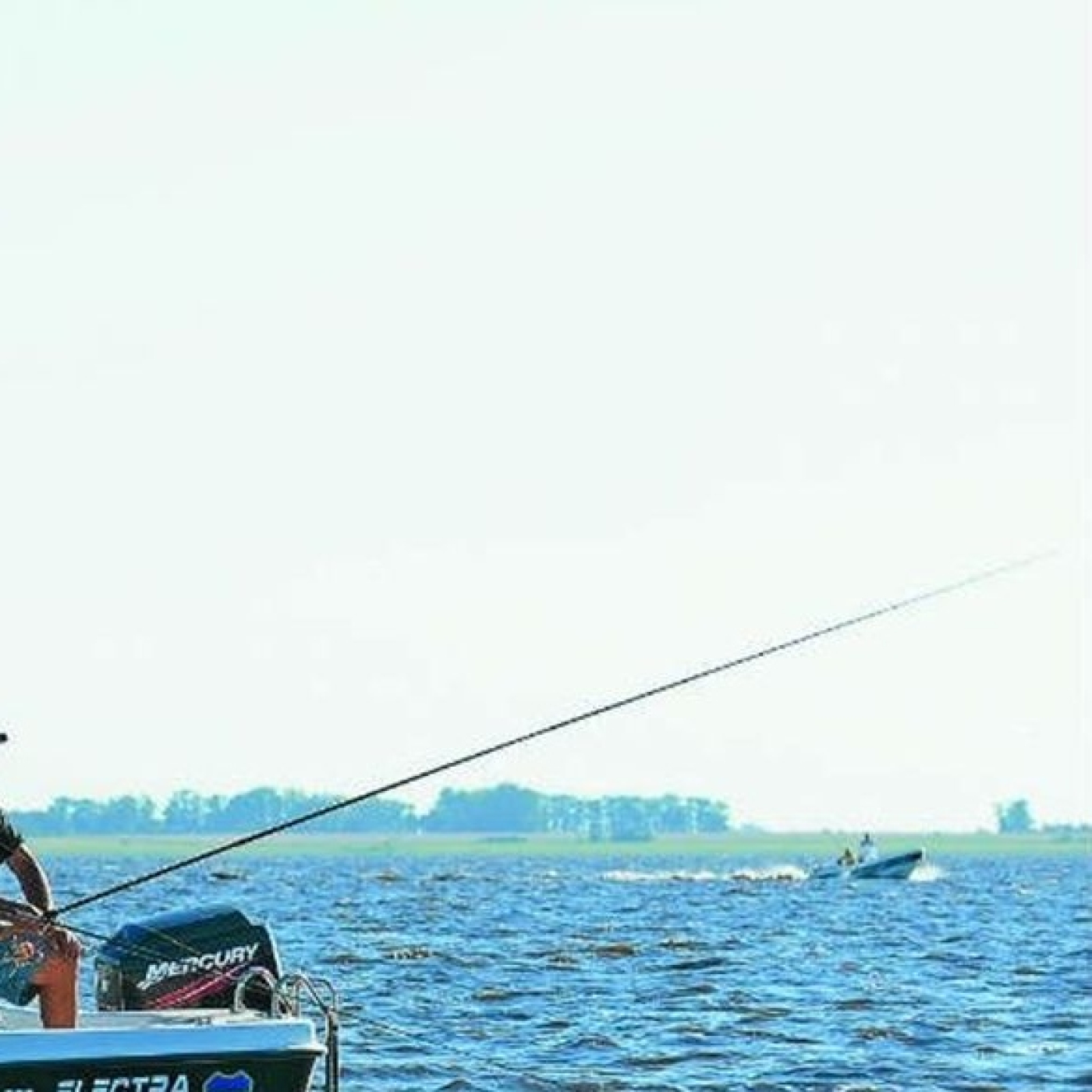 Planeta Pesca