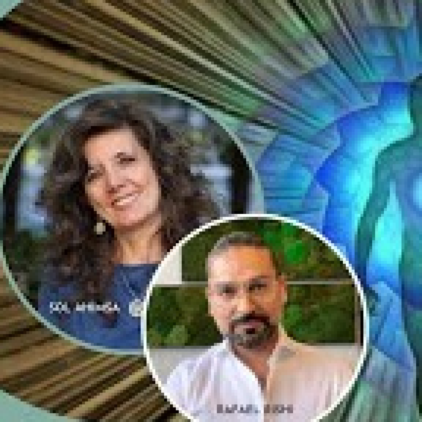SANANDO DESDE NUESTRA MEMORIA ENERGÉTICA TOTAL con Rafael Rishi episode artwork