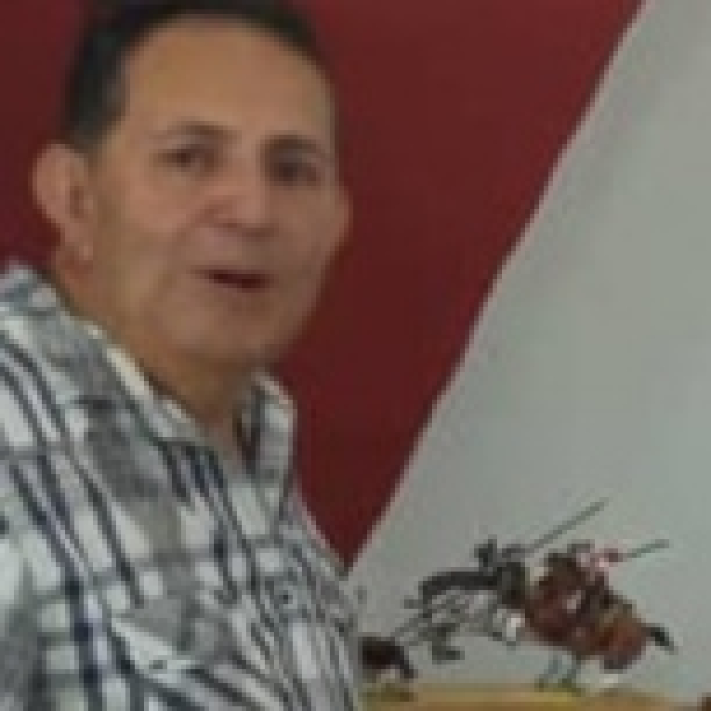 El arte taurino de Pepe Melani en la Feria de San Sebastián episode artwork