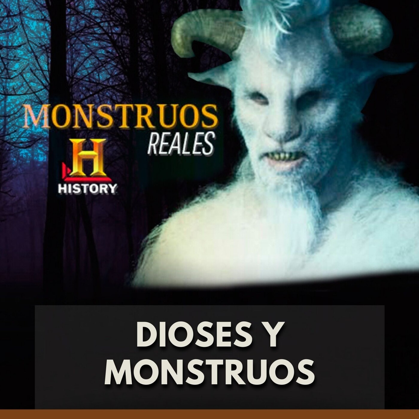 Docus Audio Latino