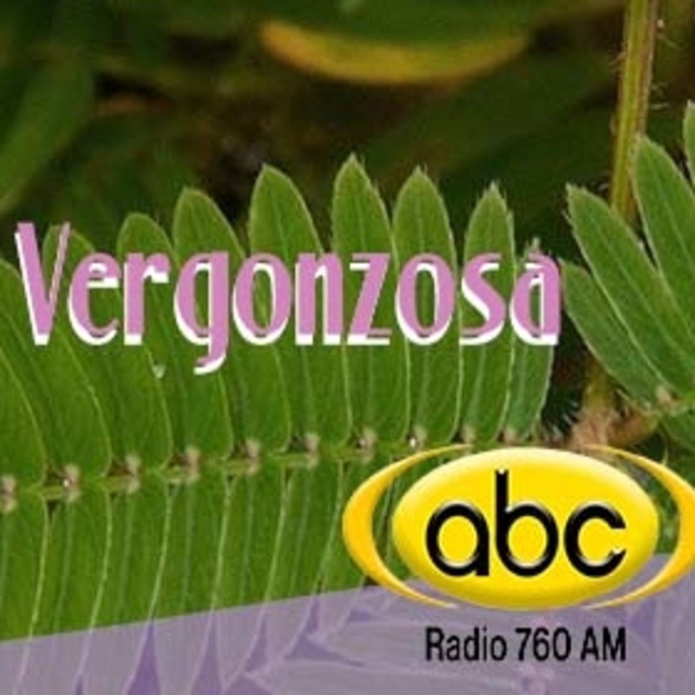 El Ángel de tu Salud - VERGONZOSA Hojas episode artwork
