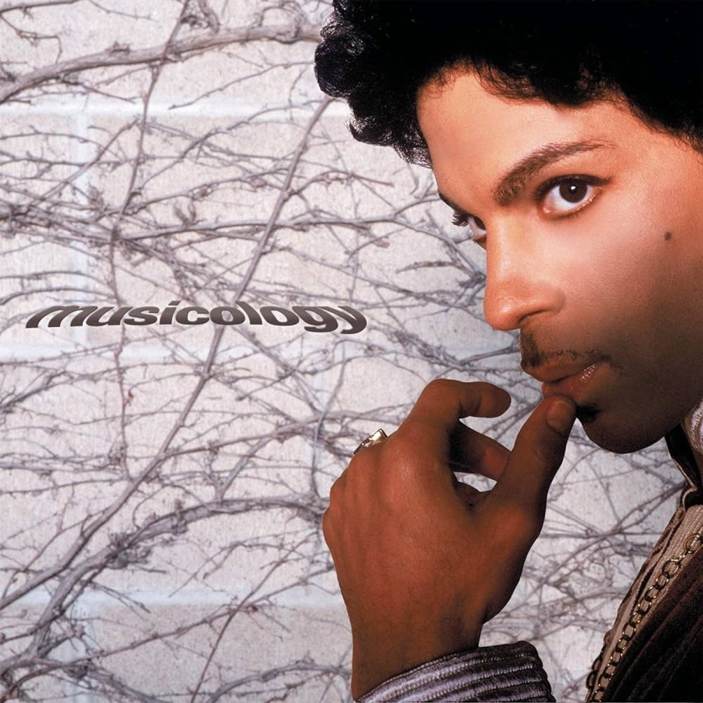 Purple Music - Un podcast sobre Prince