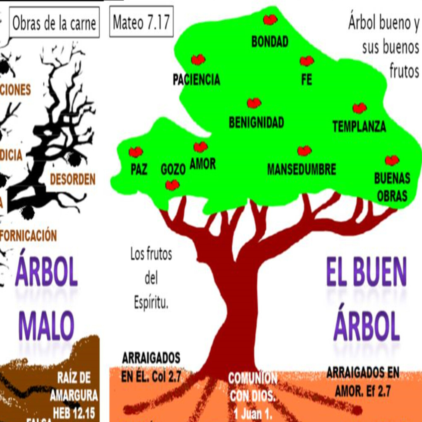 Tiempo de limpiarnos