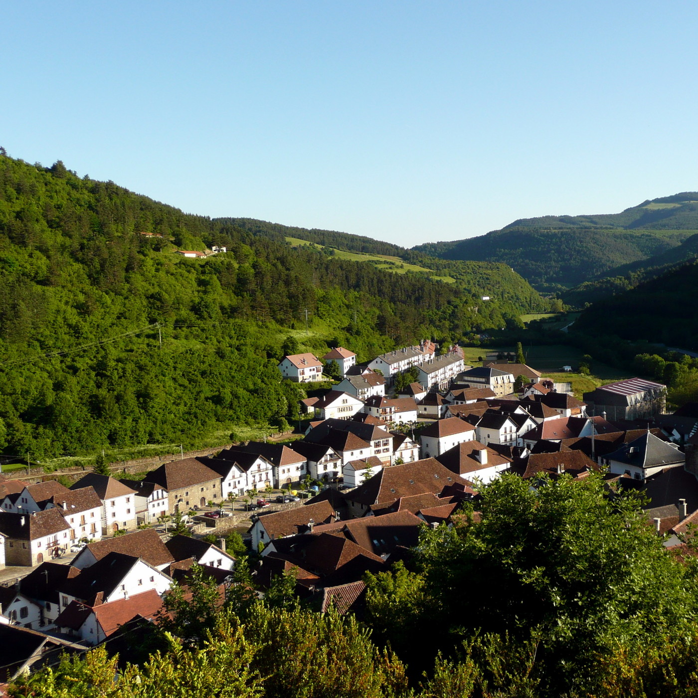 Selva de Irati - De Donosti al Cielo 117