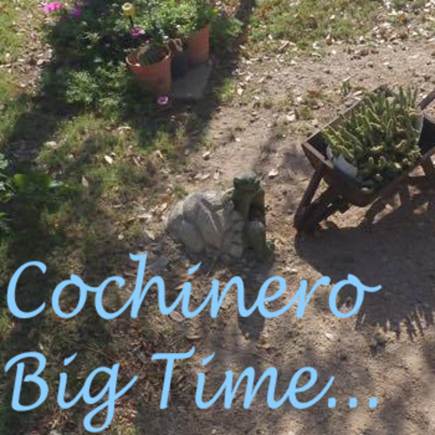 Cochinero Big Time Podcast
