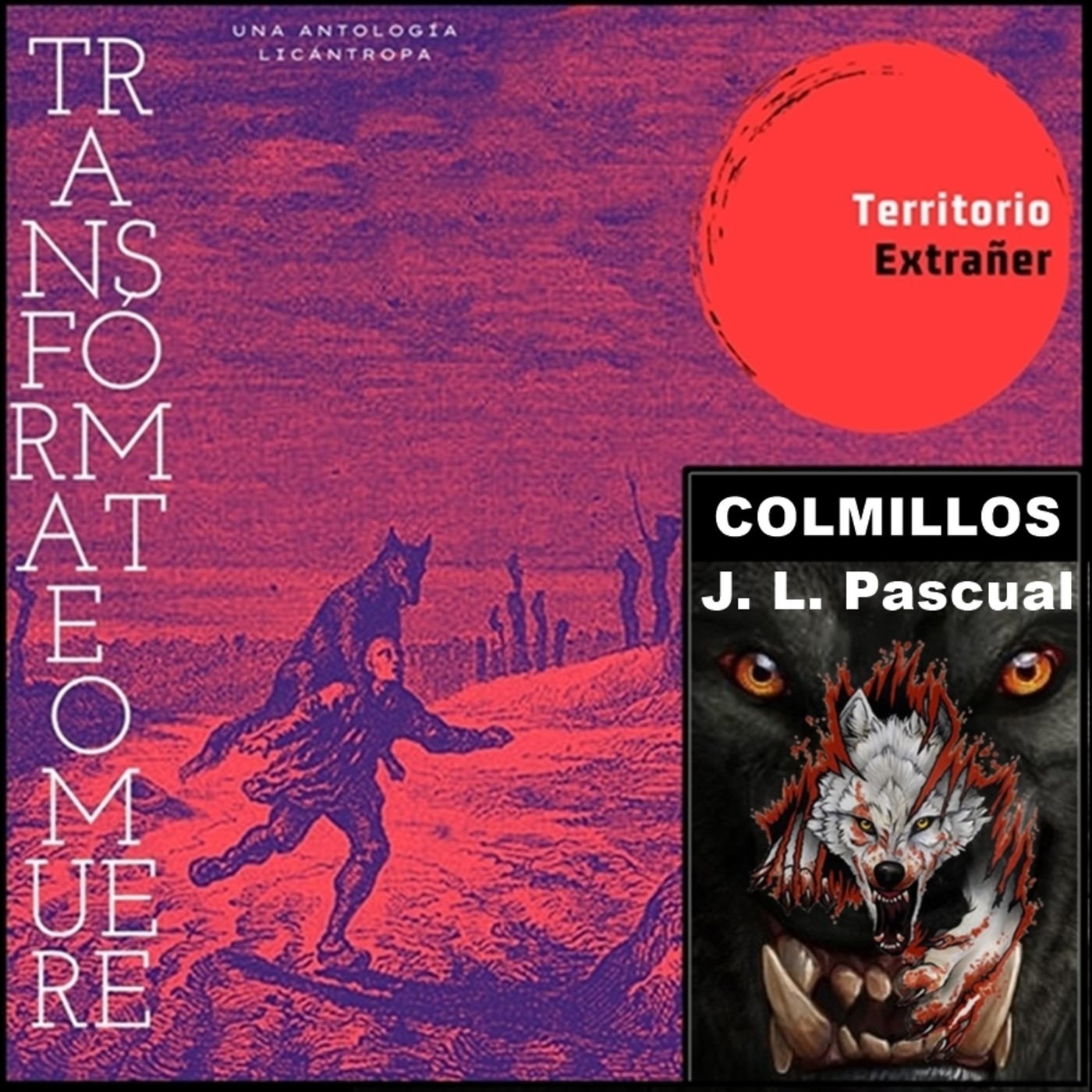 Territorio Extrañer
