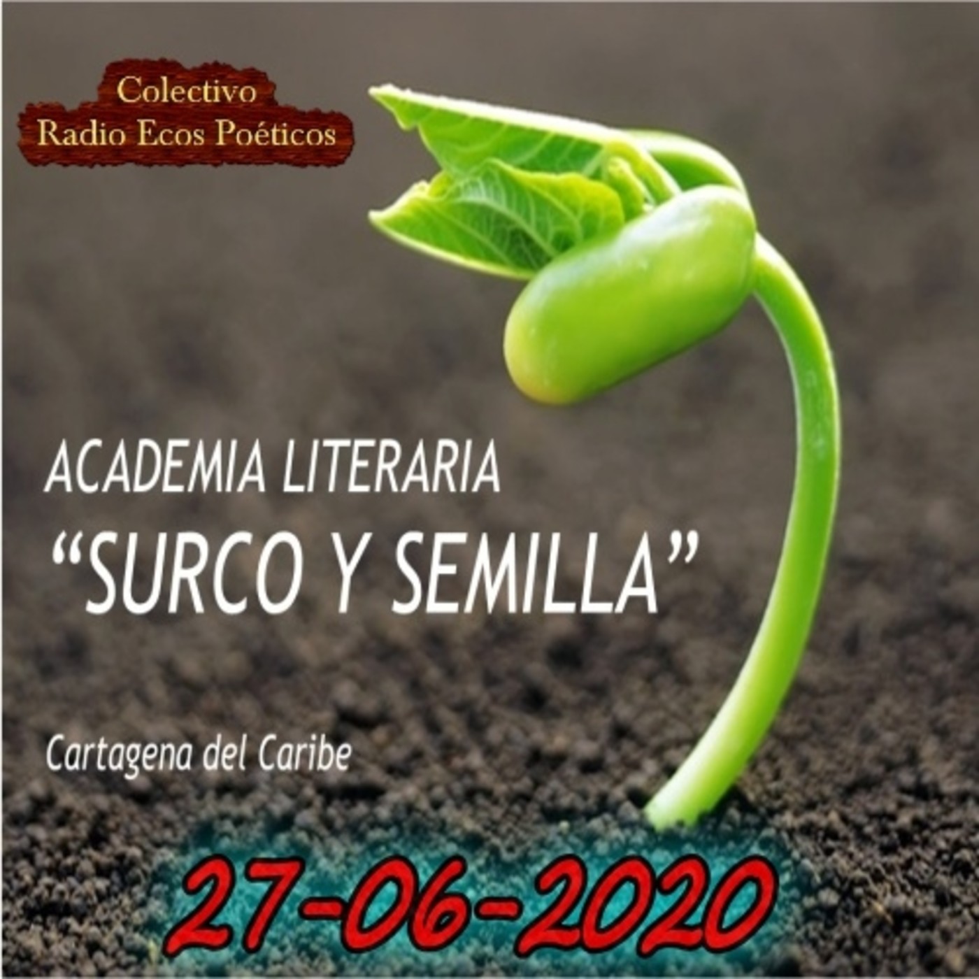 ACADEMIA LITERARIA SURCO Y SEMILLA