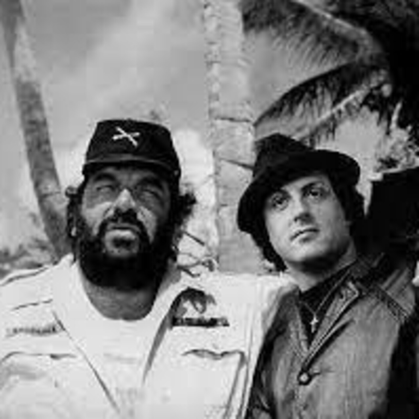 Stallone de mi vida