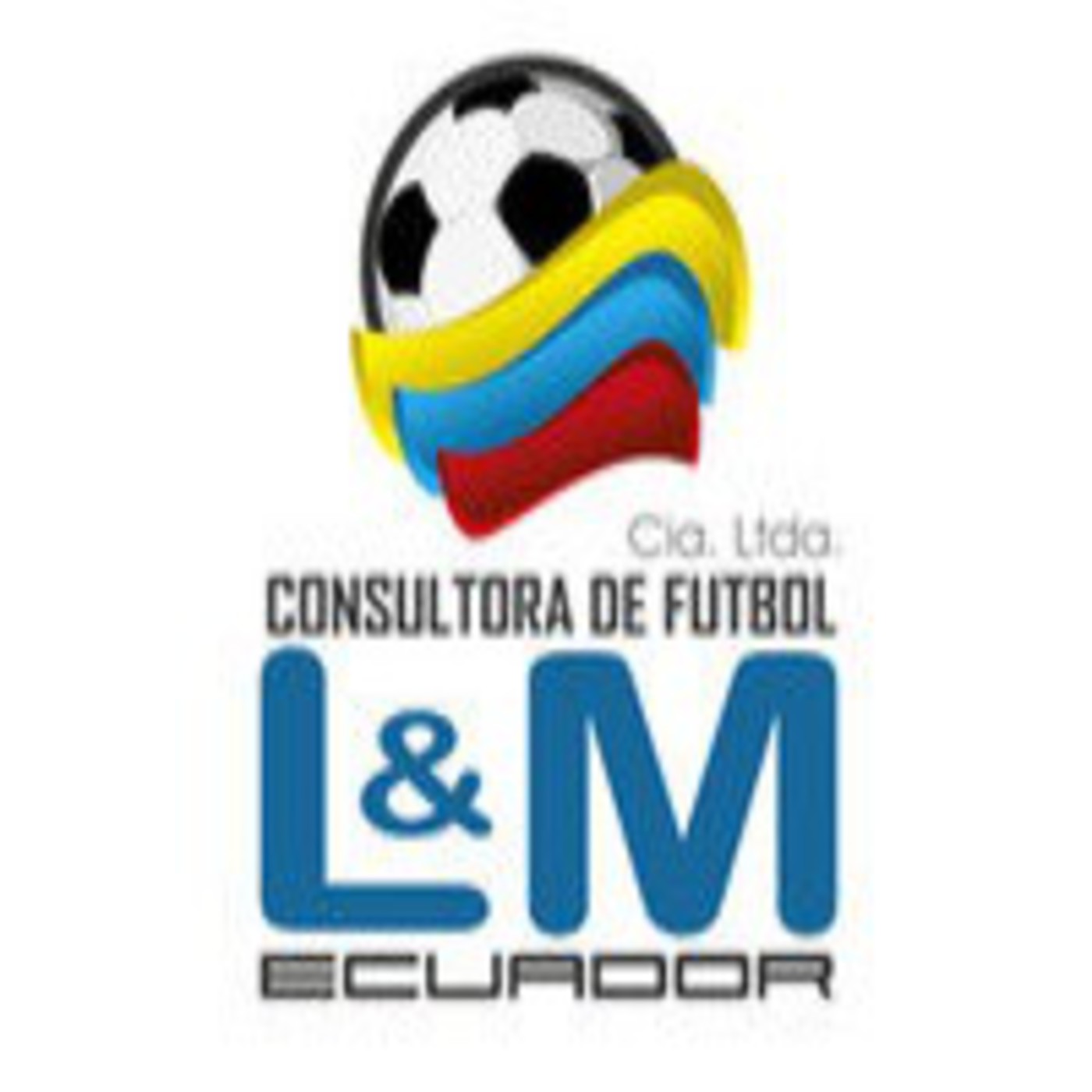 Consultora de Futbol L&M Cia Ltda