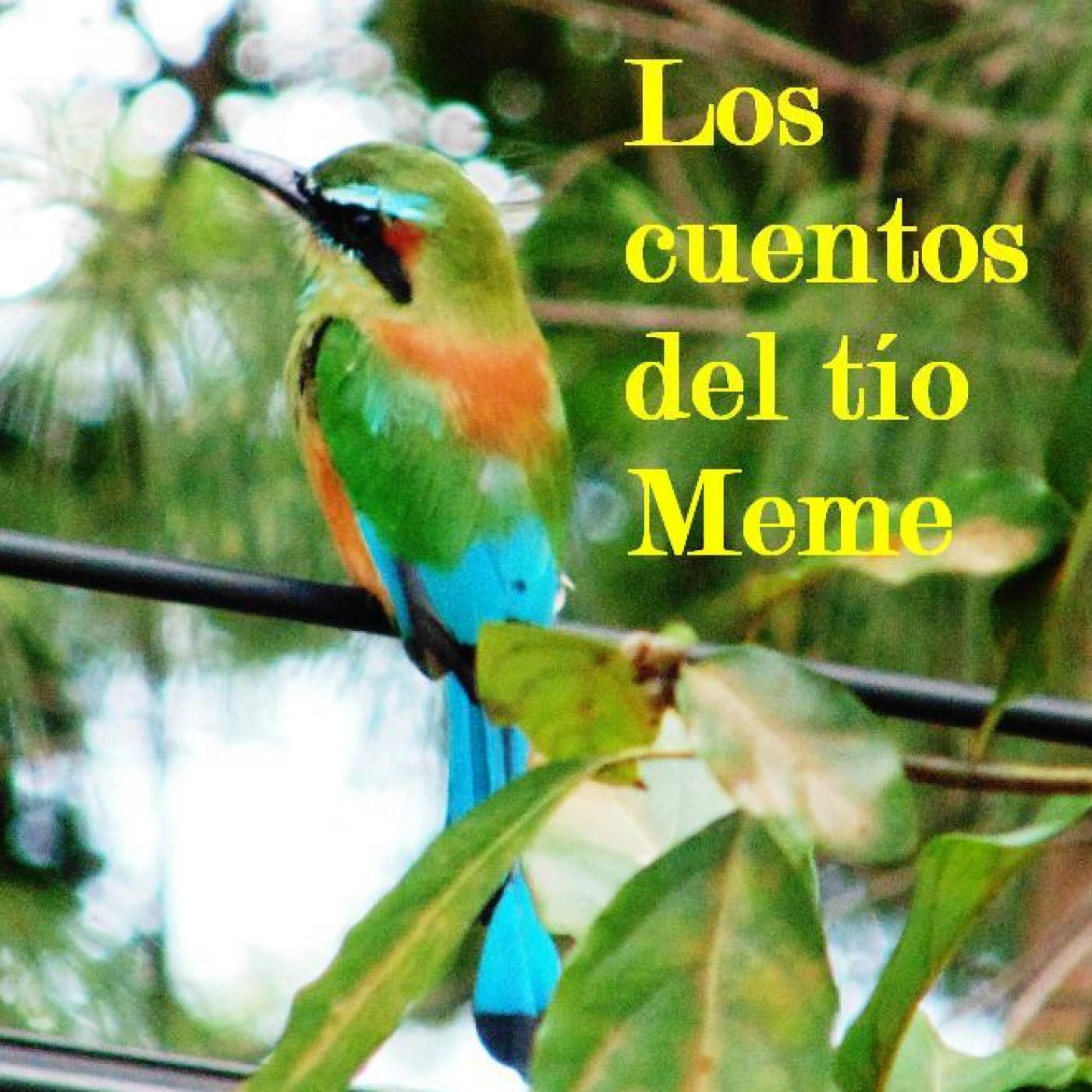 LOS CUENTOS DEL TÍO MEME