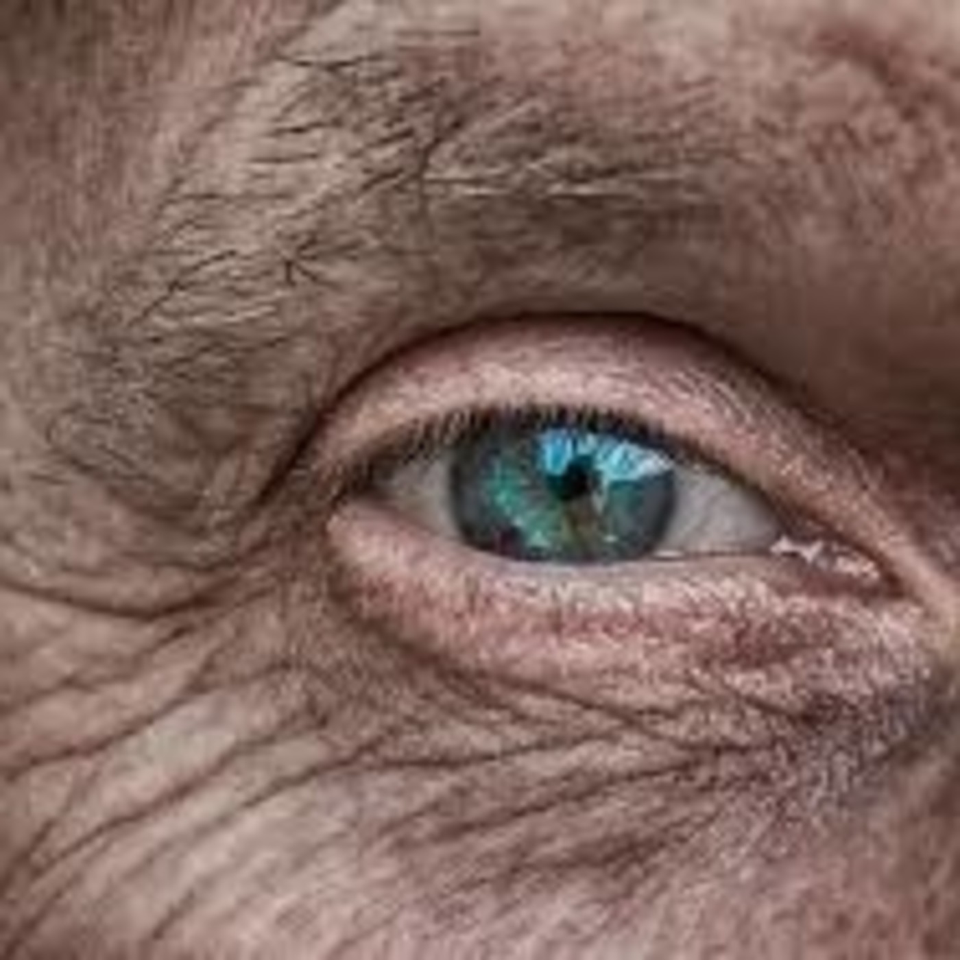 Podcast de Gente de pocas palabras