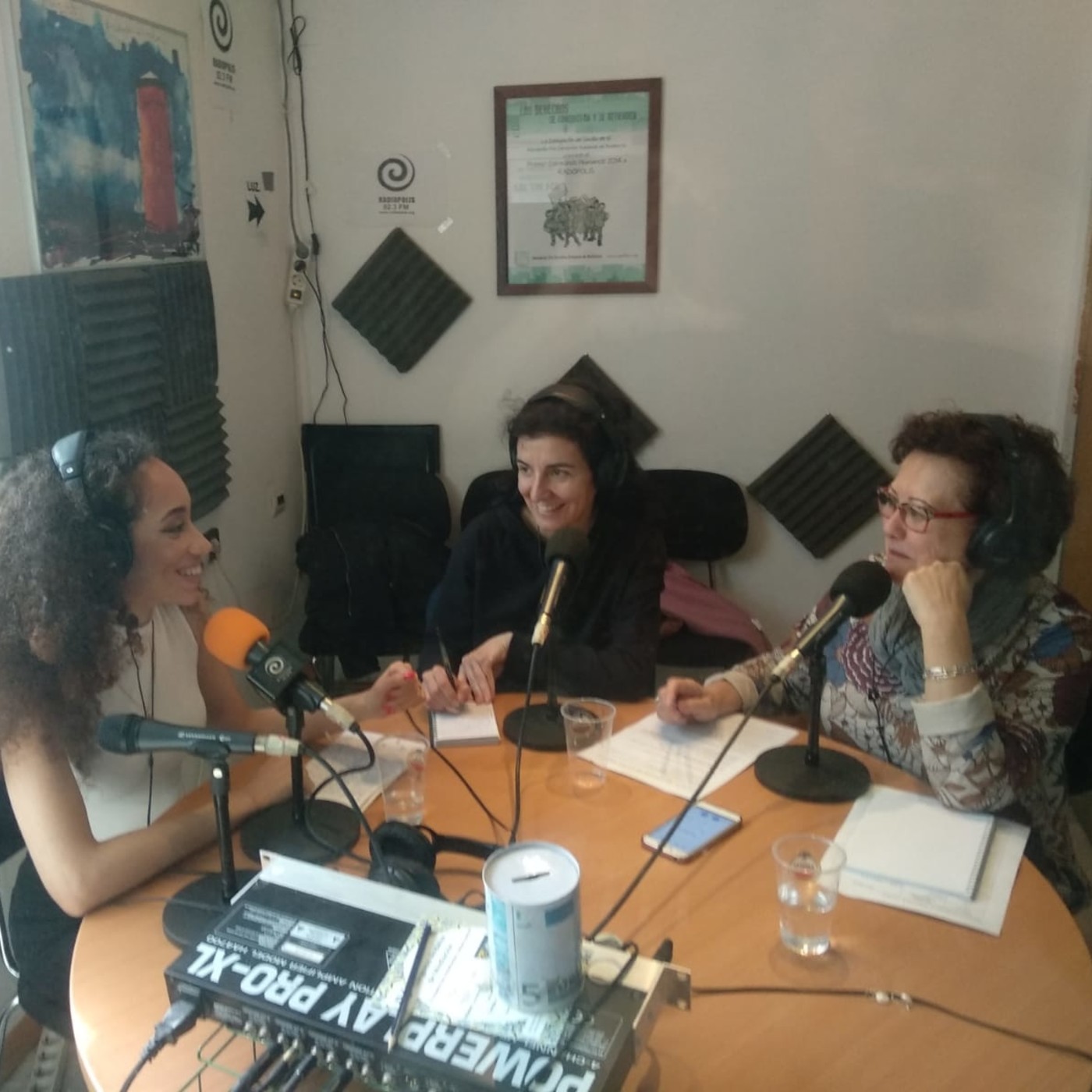 Feminópolis Programa