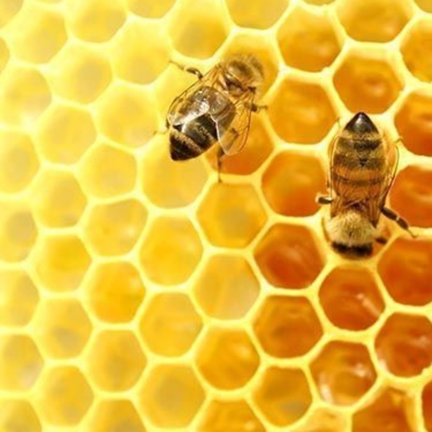 La Vida Según Pasa La Música