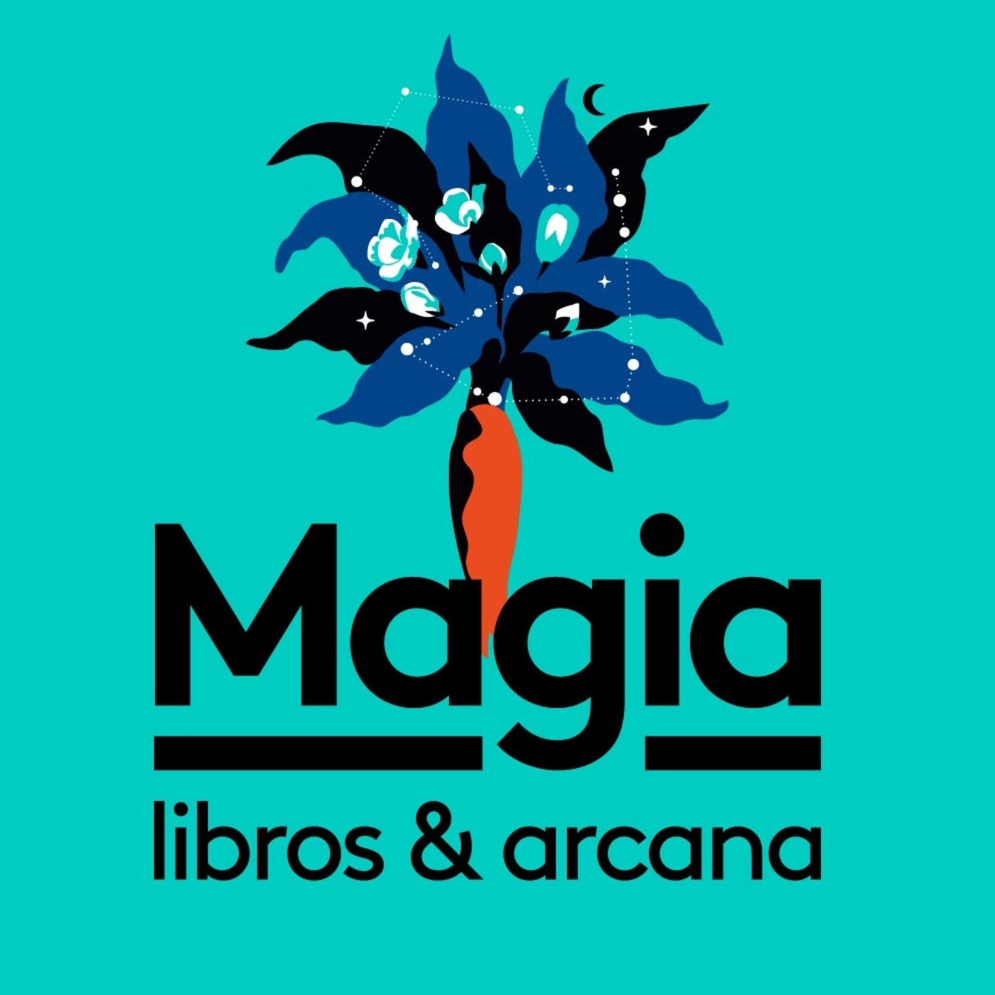 Libros Mágicos