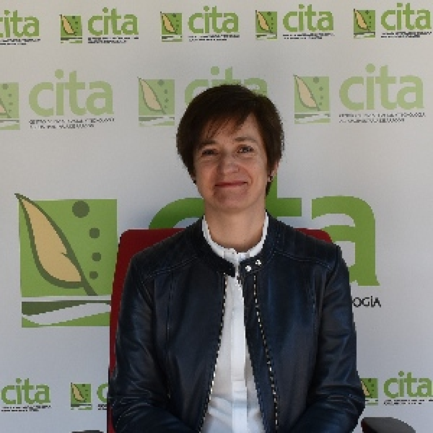 CITA de Aragón: Apariciones en radio