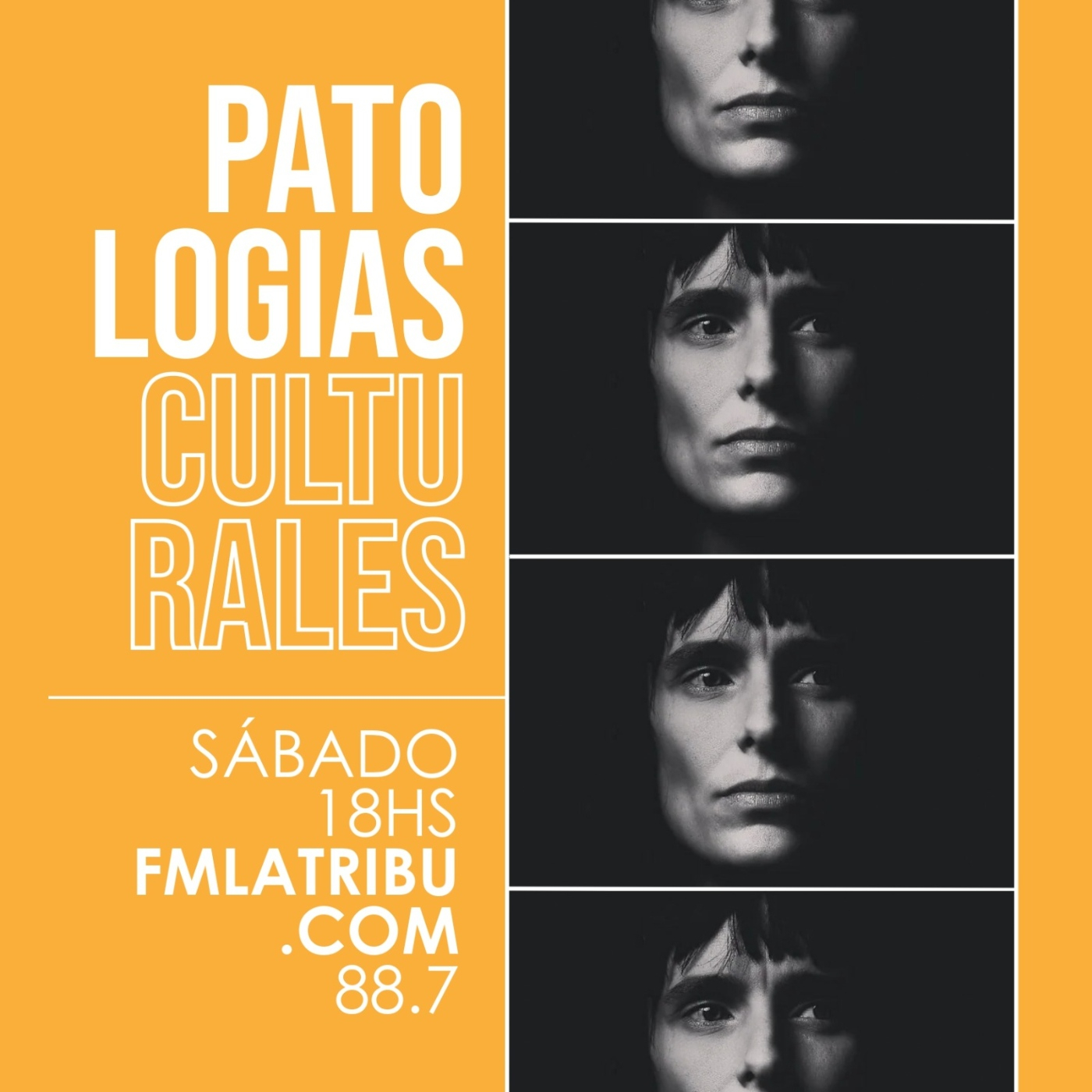 Patologías Culturales