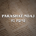 Parashat Noaj - 2019
