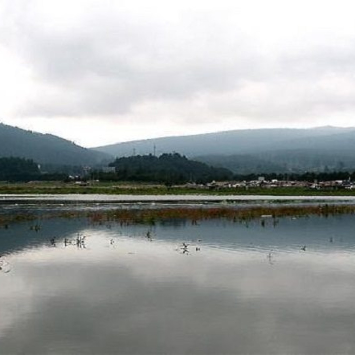 Voces y cantos de la tierra viva