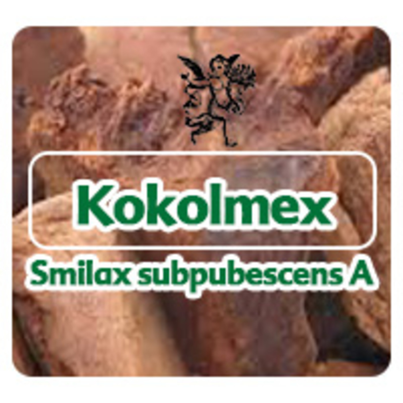 El Ángel de tu Salud - KOKOLMEX *** episode artwork
