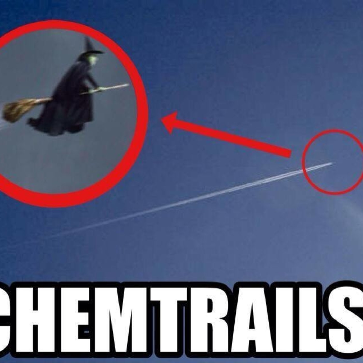 REAL COMO LA VIDA MISMA