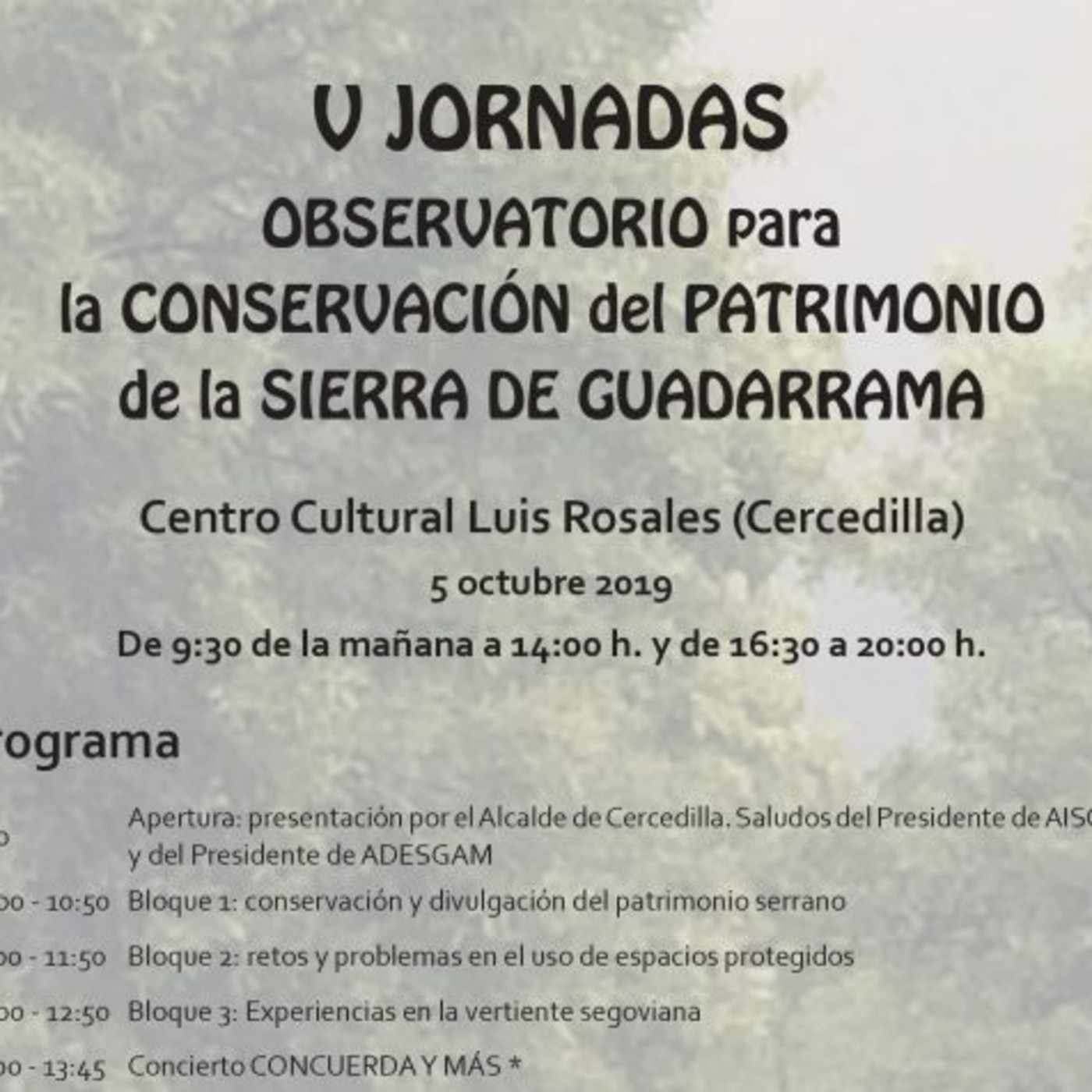 Iniciativas culturales de las asociaciones del Observatorio