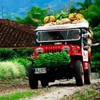 Especial Regional Eje Cafetero y Tolima