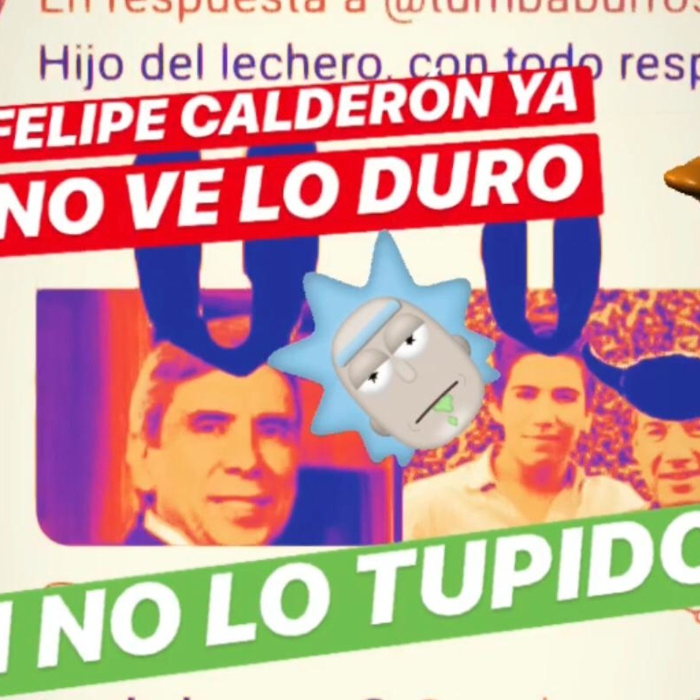 Me Canso Ganso MX