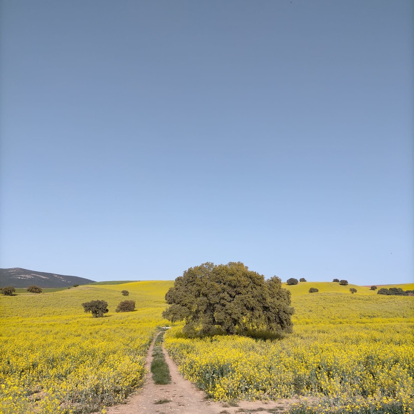 Sendero a la Nada