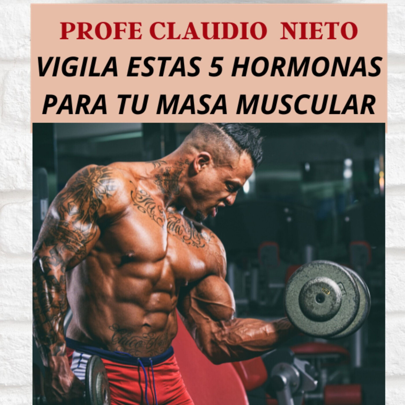 PROFE CLAUDIO NIETO