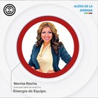 Sen Audio de la Semana: Sinergia de Equipo por Norma Rocha