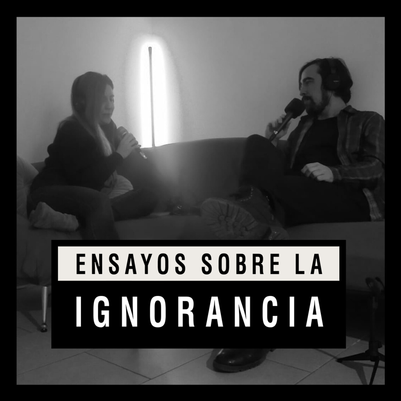 Ensayos sobre la ignorancia