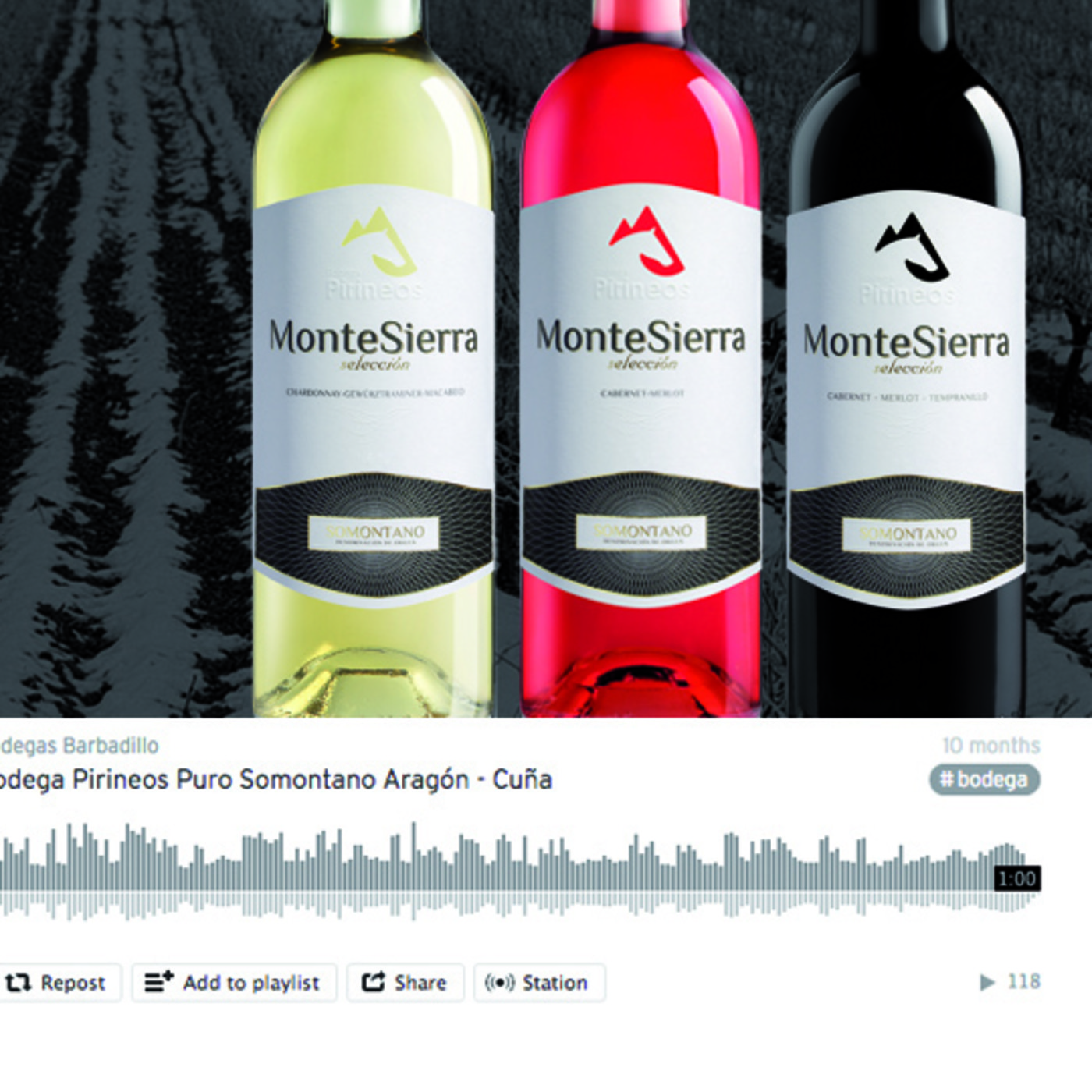 Podcast Premios de Publicidad Agripina.