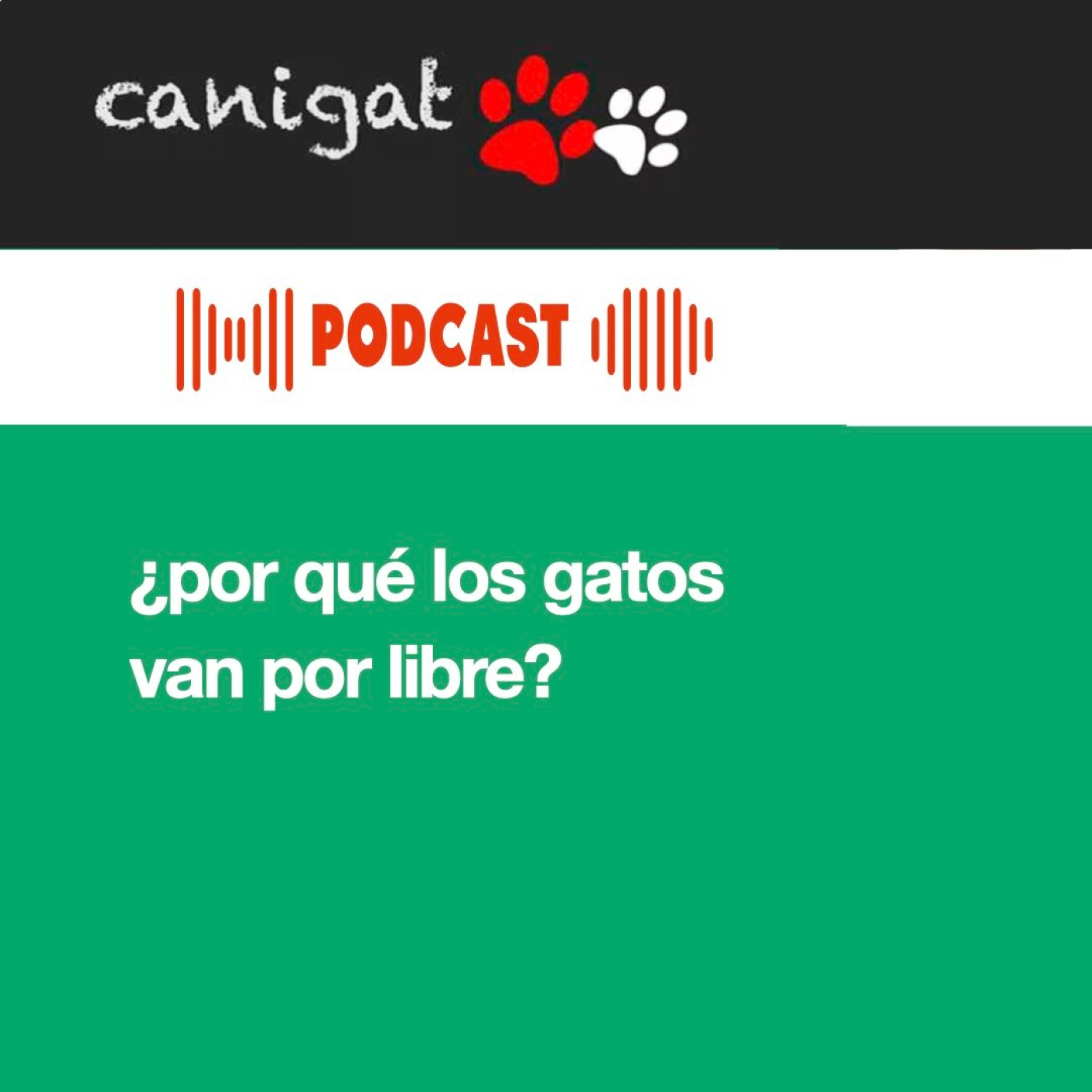 Consejos veterinarios de perros y gatos by canigat