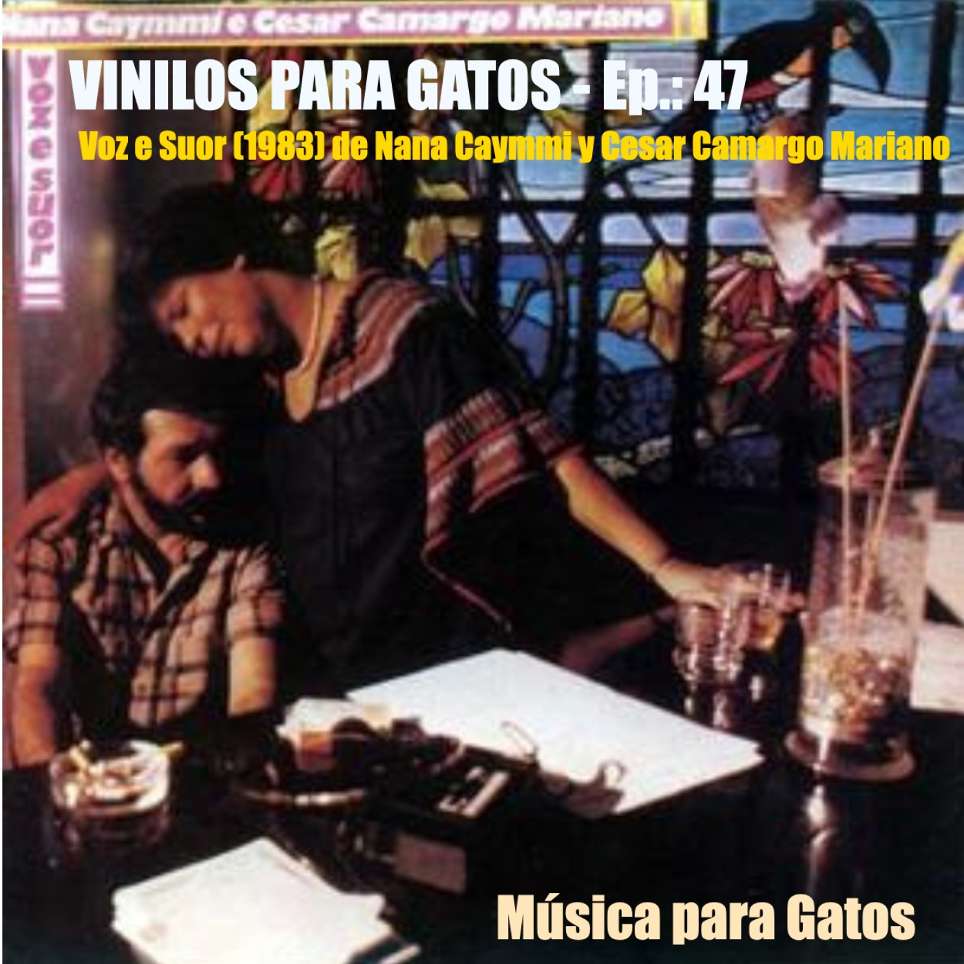 Música para Gatos