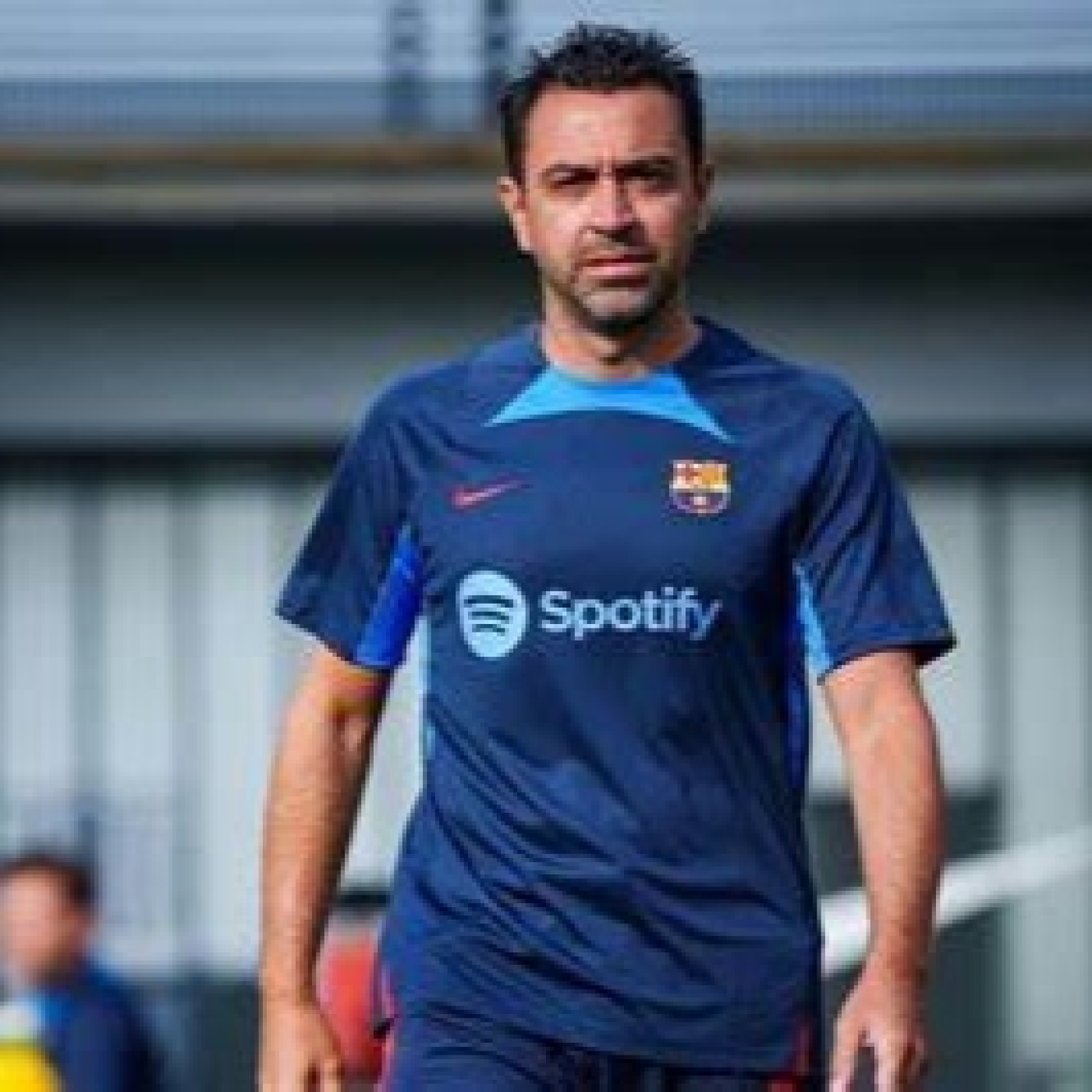 Mister Seitán