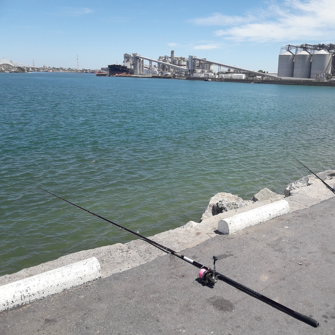Planeta Pesca