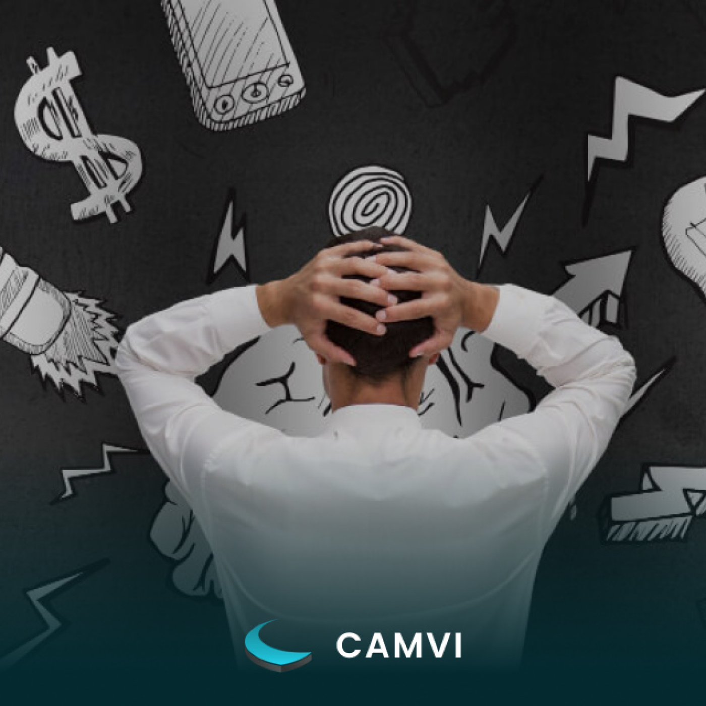 CAMVI