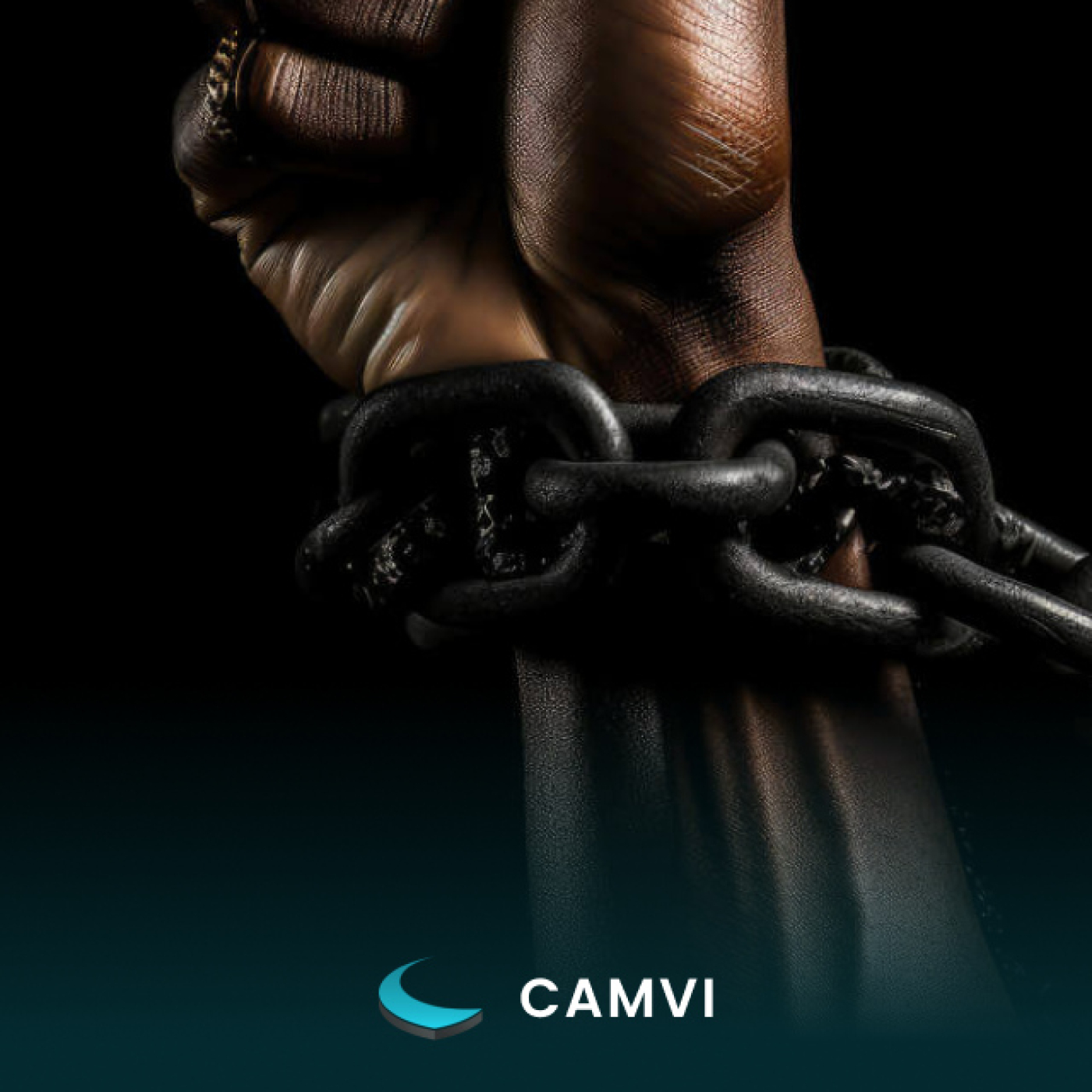 CAMVI
