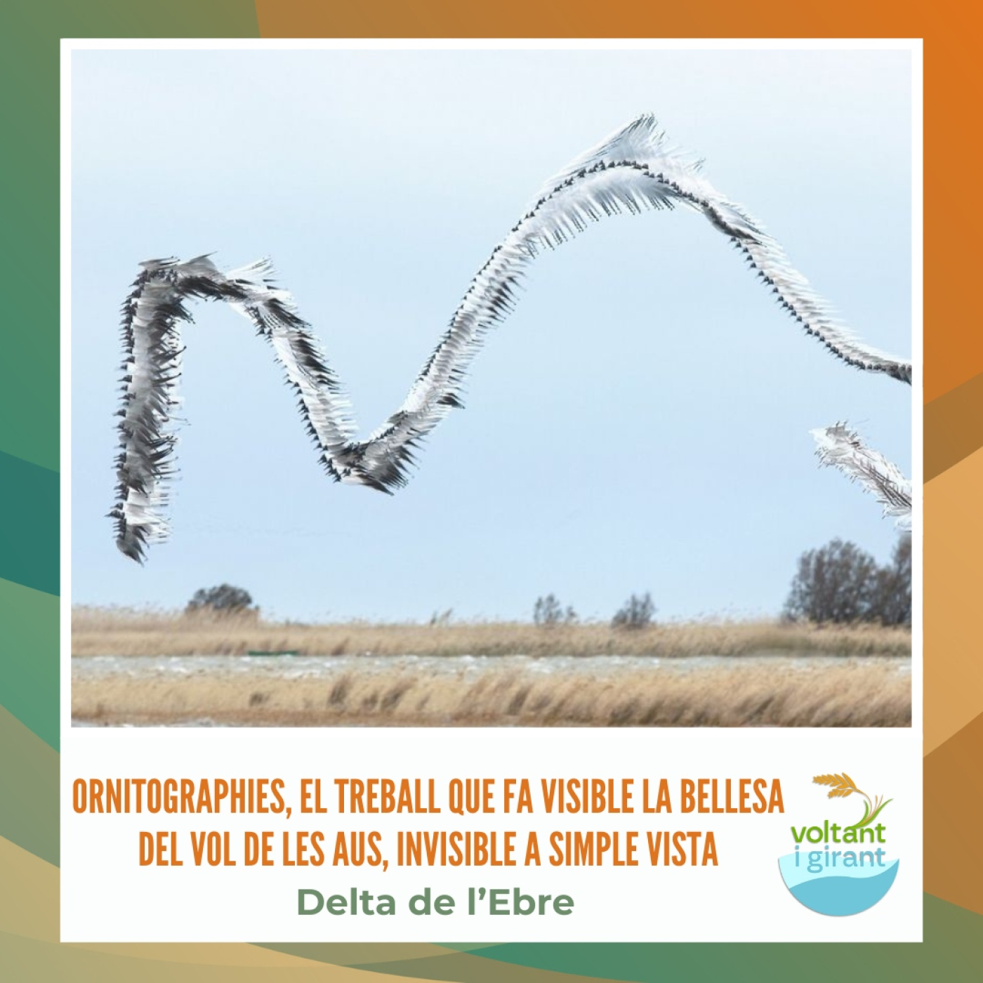 Ornitographies, el treball que fa visible la bellesa del vol de les aus, invisible a simple vista episode artwork