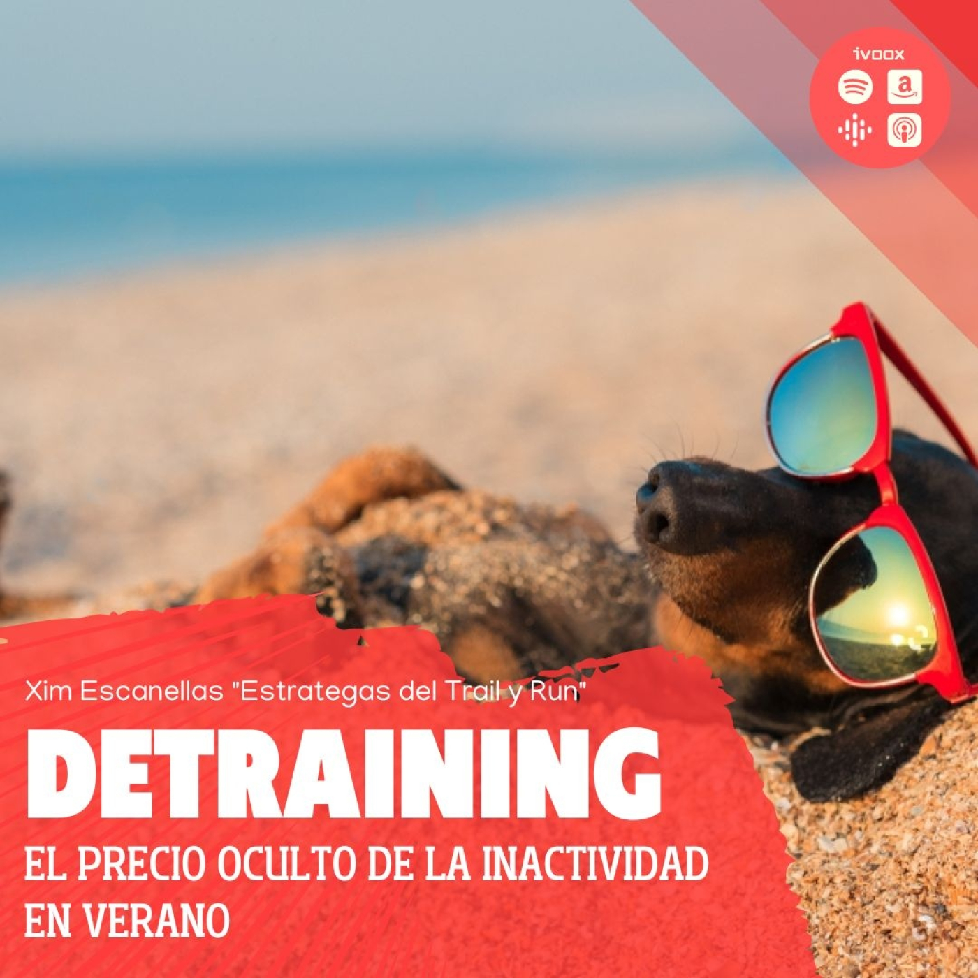 Estrategas del Trail y Run