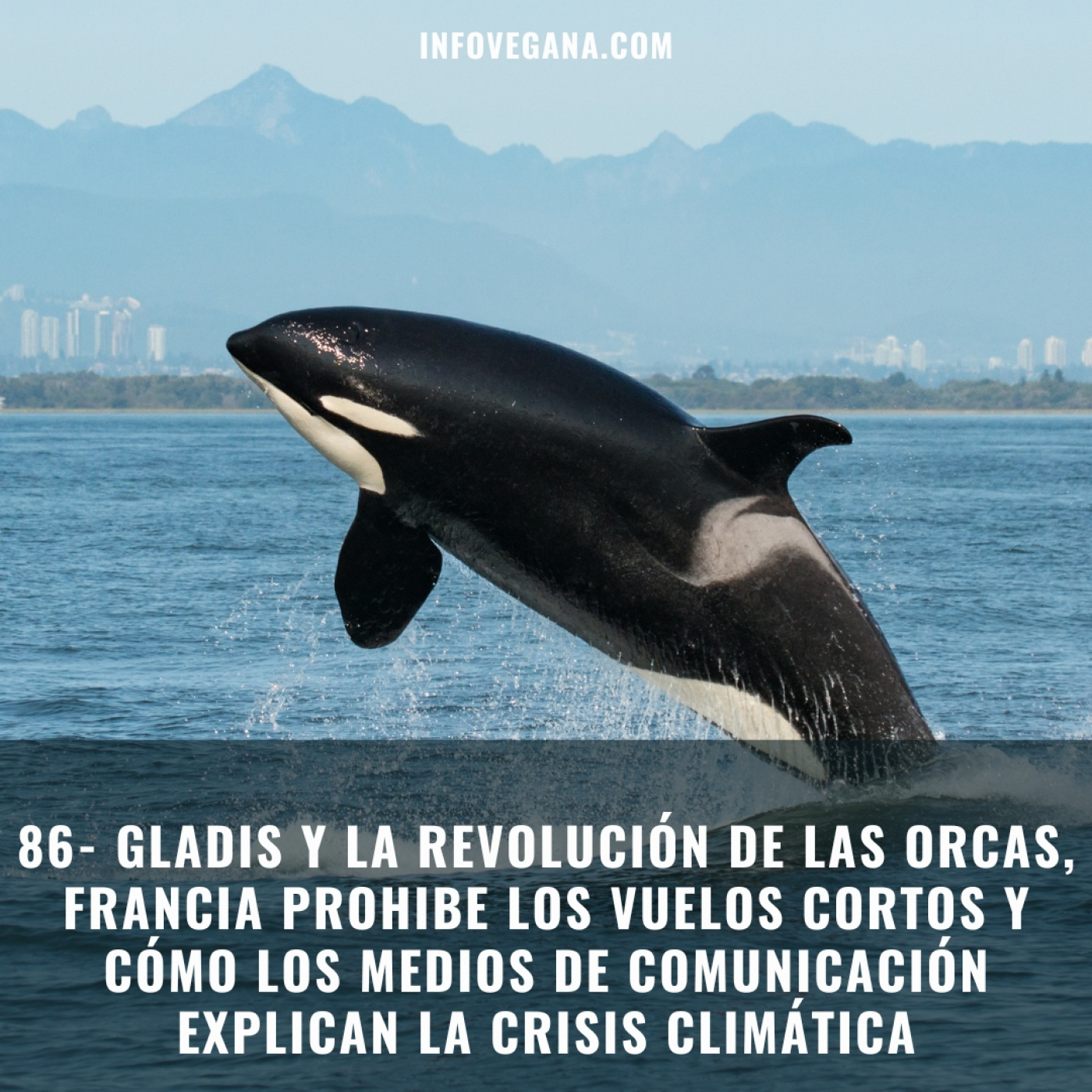 86-GLADIS Y LA REVOLUCIÓN DE LAS ORCAS, FRANCIA PROHÍBE VUELOS CORTOS Y CÓMO LA PRENSA EXPLICA LA CRISIS CLIMÁTICA | iv episode artwork