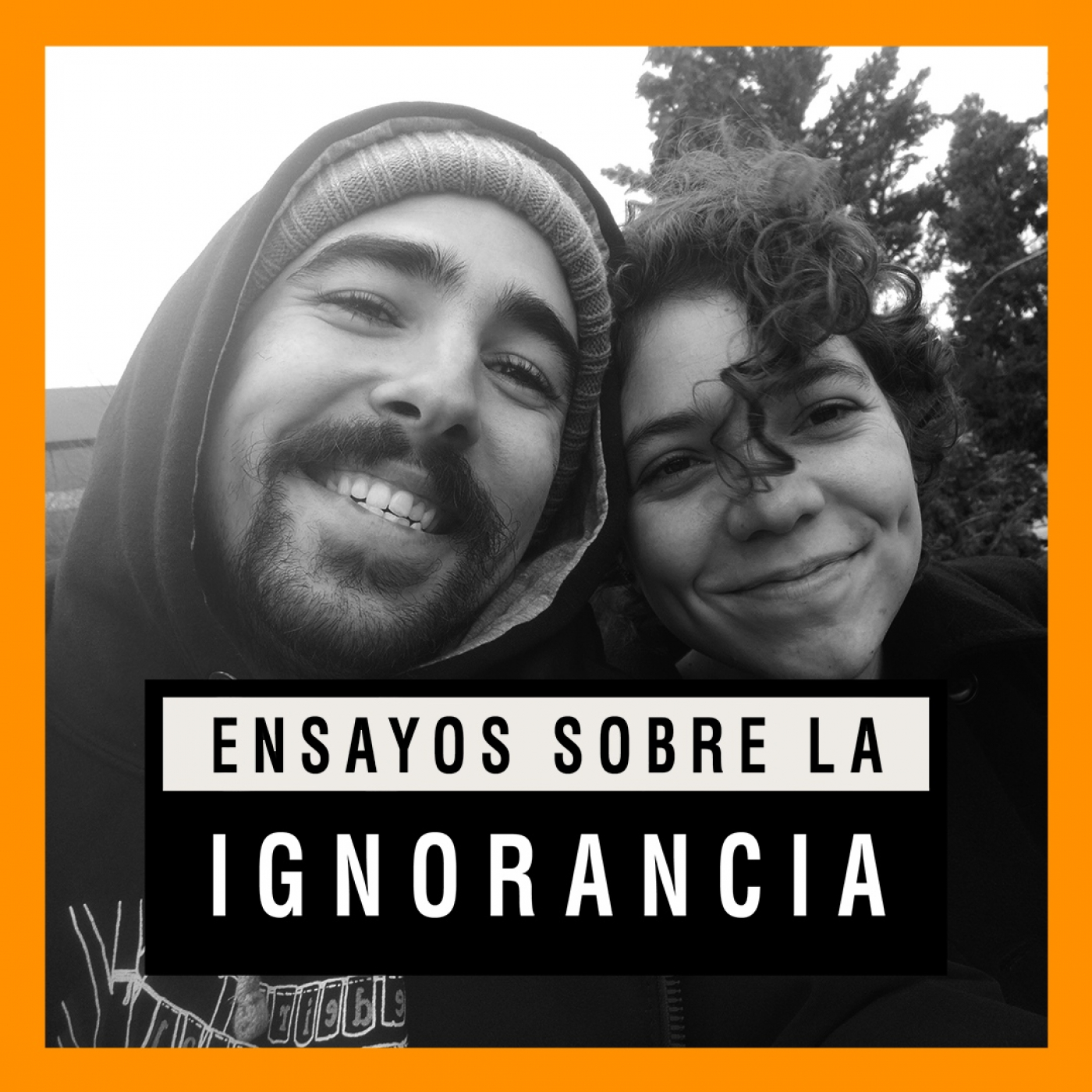 Ensayos sobre la ignorancia