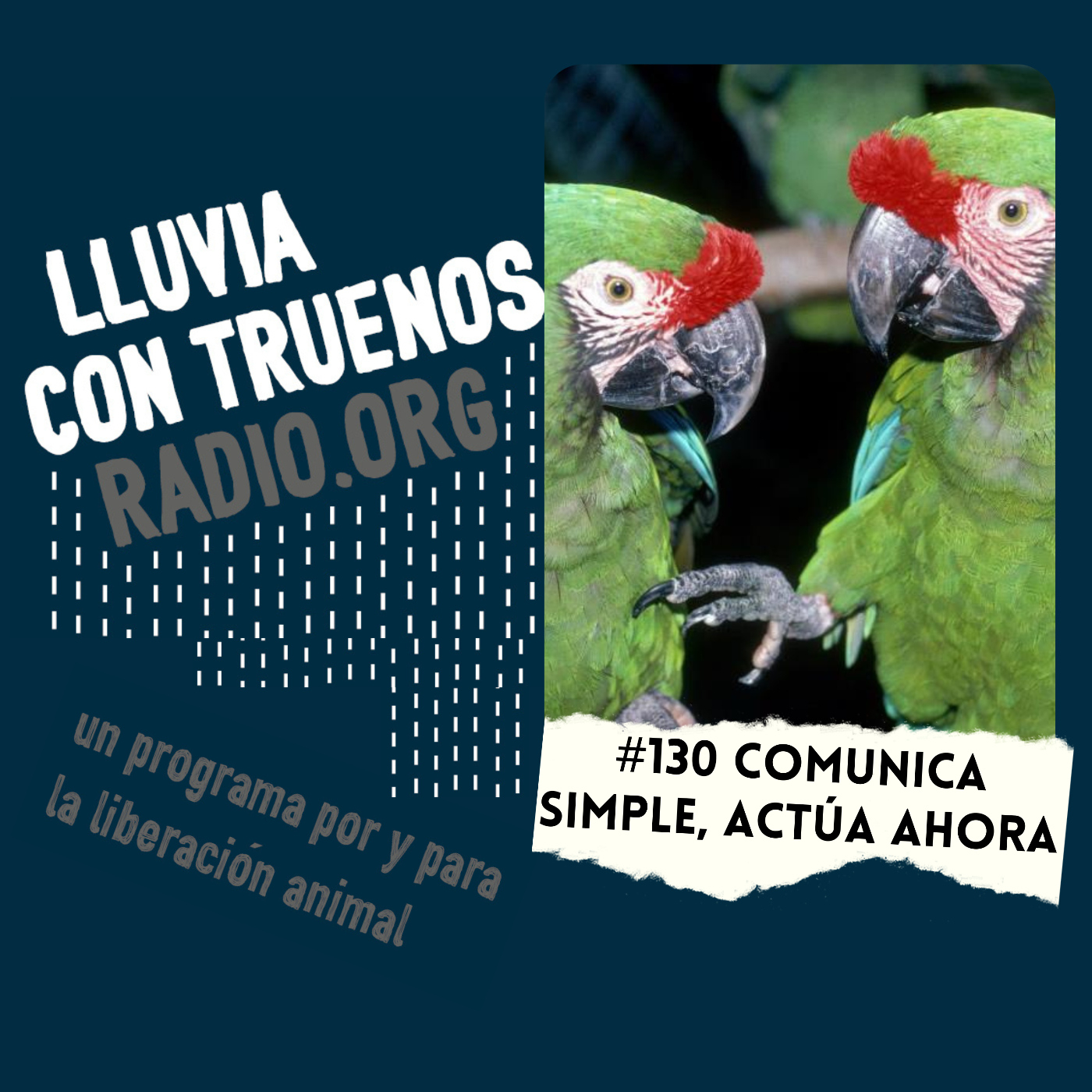 Lluvia con truenos radio