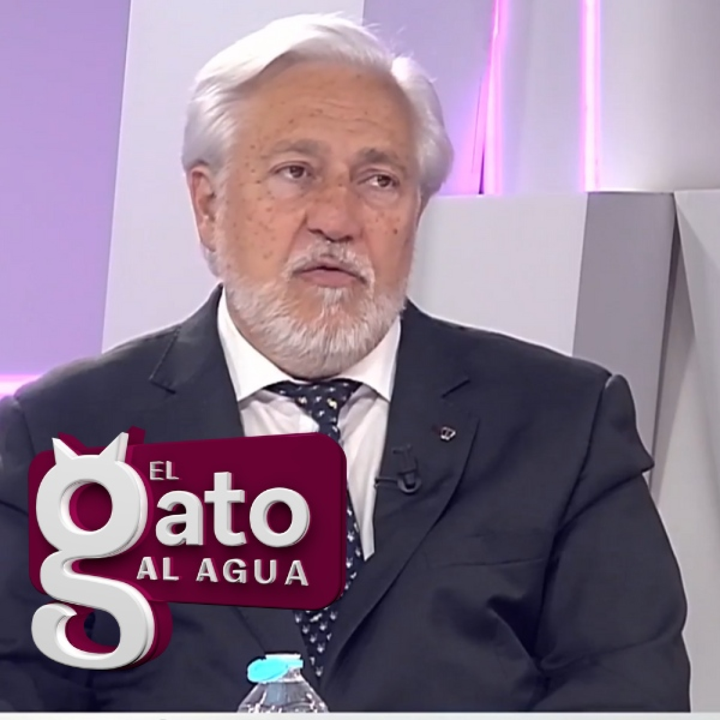 El Gato al agua