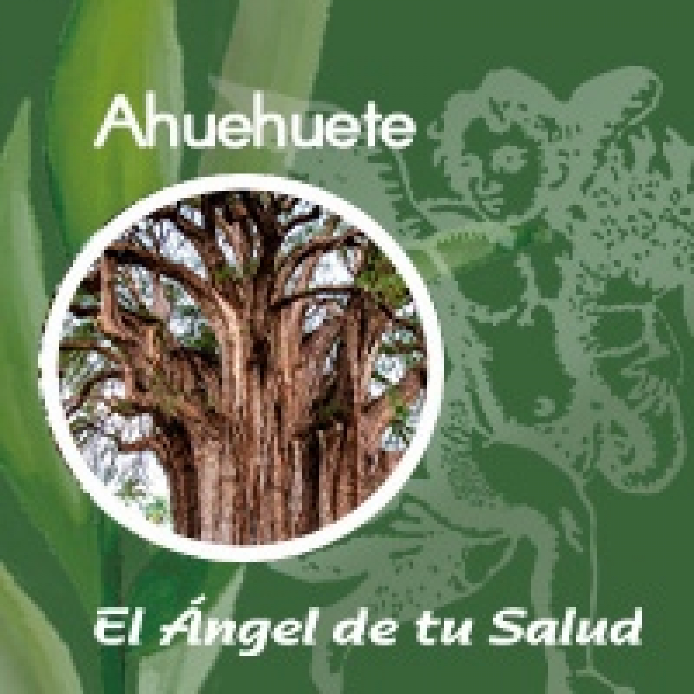 El Ángel de tu Salud - Ahuehuete ** episode artwork